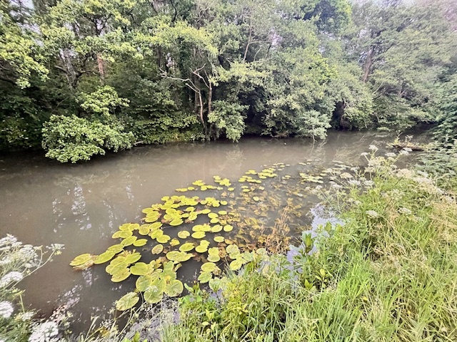 River Rother, Stedham Bridge